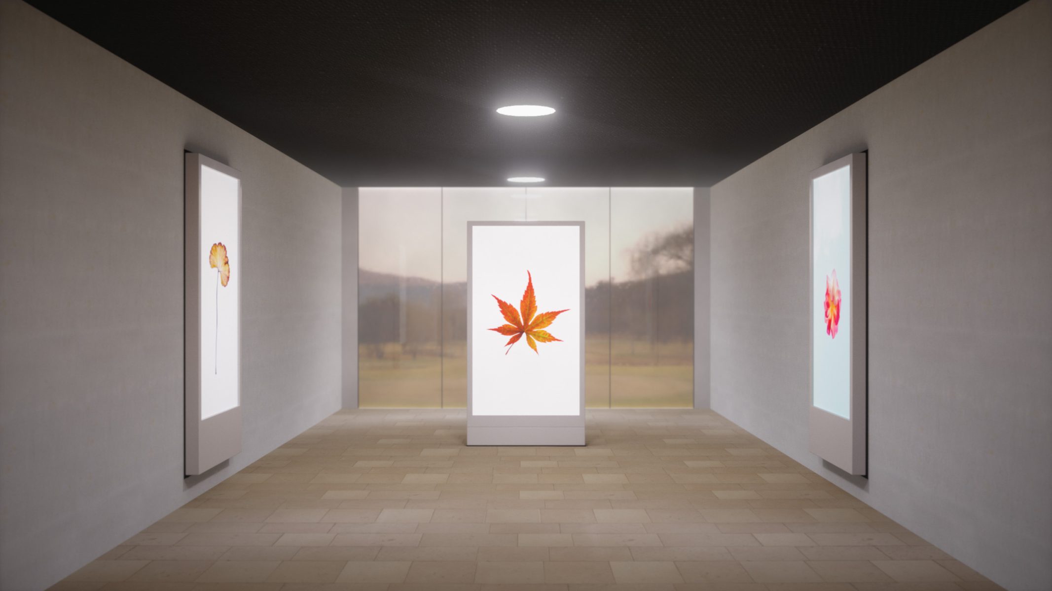 Hallway with three touch-enabled digital signage displays showing vibrant images of leaves and flowers.